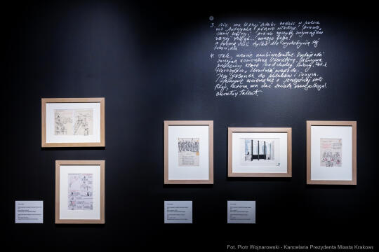 PW_704_ 062_fot. Piotr Wojnarowski.jpg-Rok Wajdy, Inauguracja, Manggha, wystawa