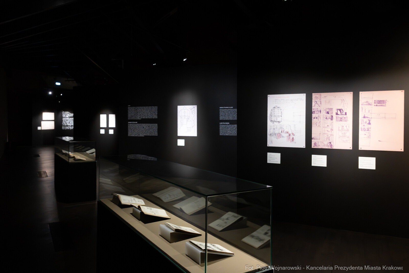 PW_704_ 070_fot. Piotr Wojnarowski.jpg-Rok Wajdy, Inauguracja, Manggha, wystawa  Autor: Piotr Wojnarowski