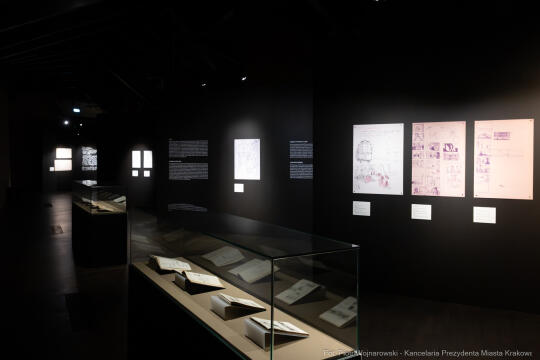 PW_704_ 070_fot. Piotr Wojnarowski.jpg-Rok Wajdy, Inauguracja, Manggha, wystawa