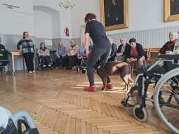 TnH5-Rrr.jpg-Kolejna wizyta Daktyla w naszym Domu.