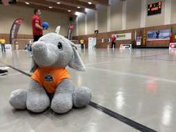 Bruk-Bet Termailca Kraków z awansem do finałów Ligi Mistrzów -  świetny występ w Barcelonie - 