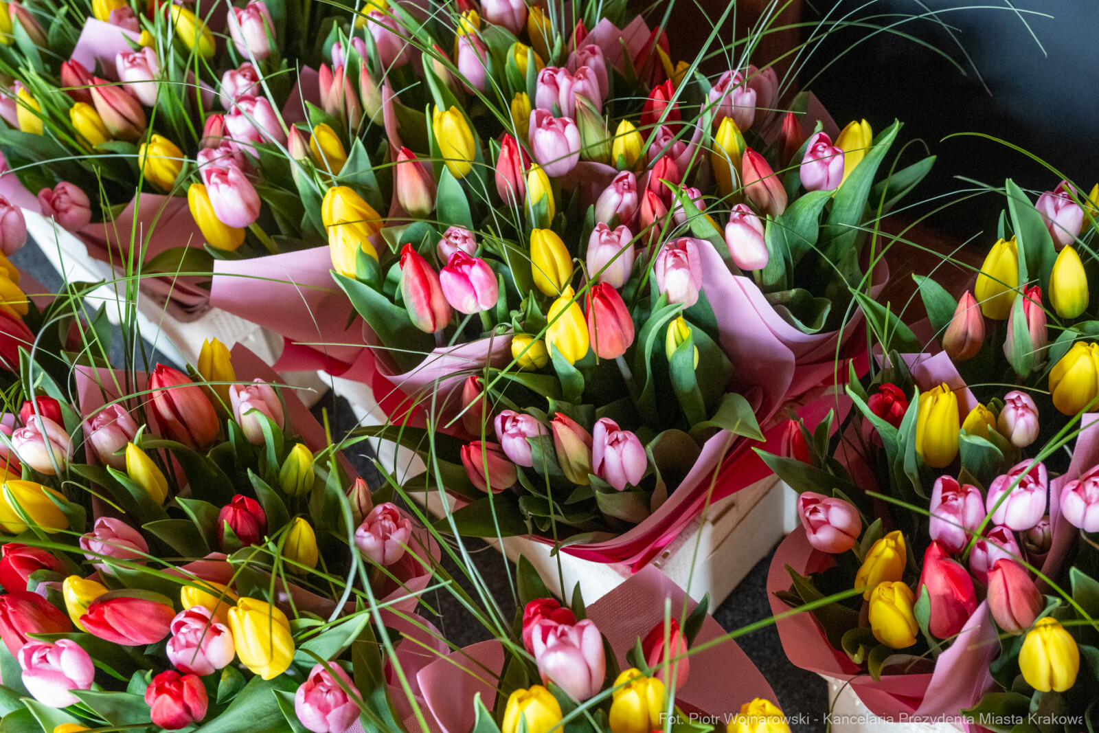 Miszalski, medale, seniorzy, Długoletnie Pożycie Małżeńskie, zdjęcia  Autor: Piotr Wojnarowski