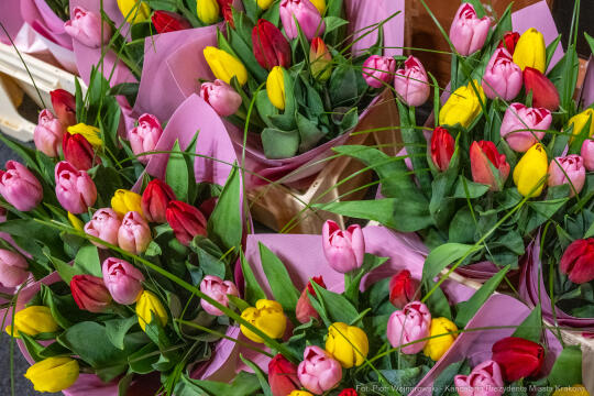 Miszalski, medale, seniorzy, Długoletnie Pożycie Małżeńskie, zdjęcia