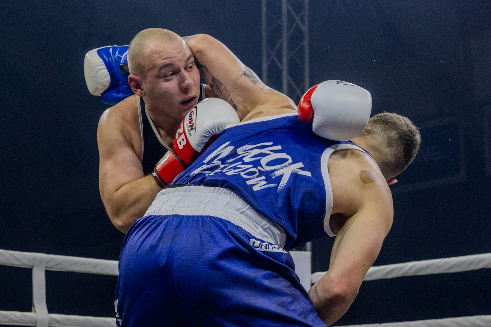 0S4A5451.jpg-Liga Boksu, Kraków, Miszalski  Autor: B. Świerzowski