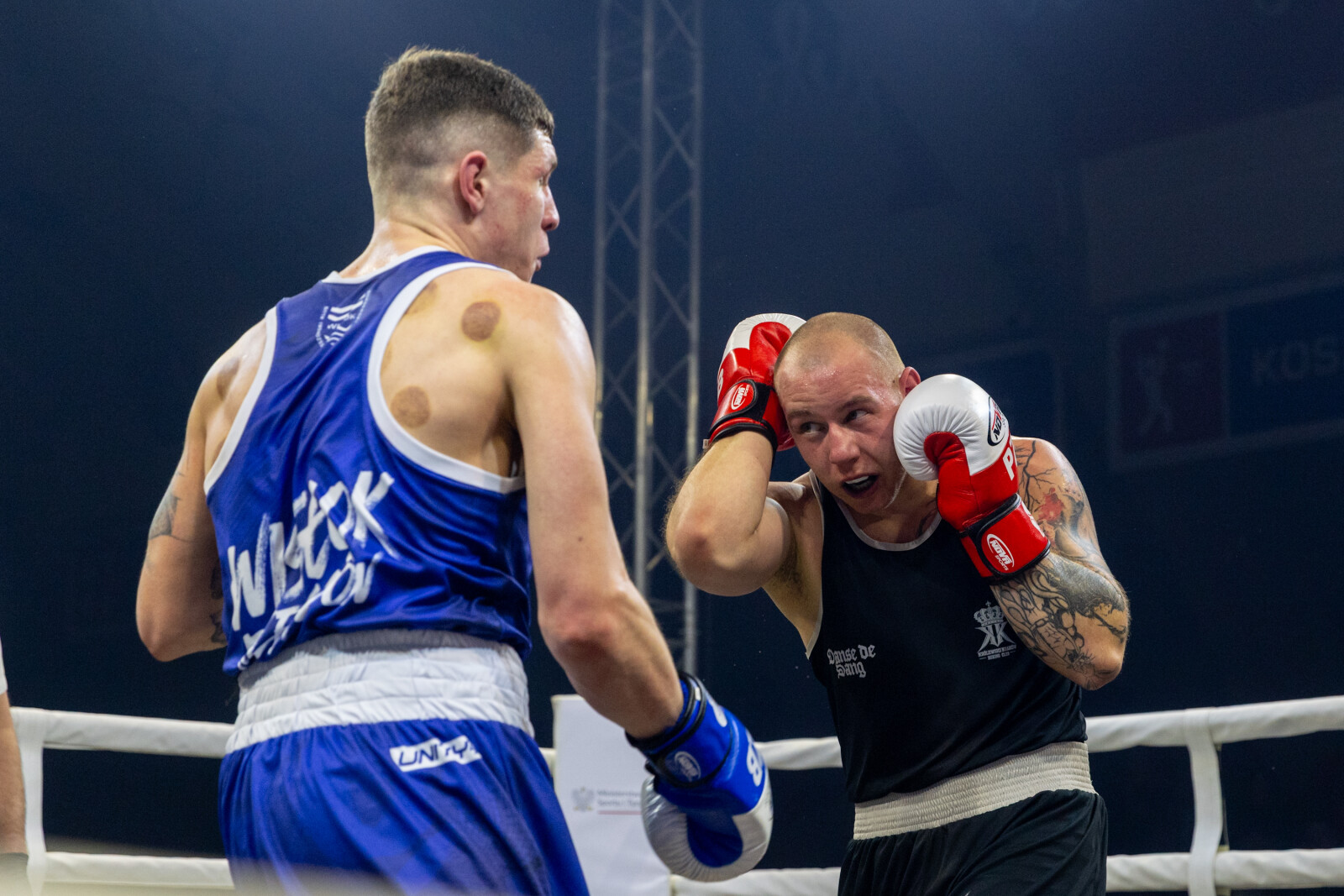 0S4A5525.jpg-Liga Boksu, Kraków, Miszalski  Autor: B. Świerzowski