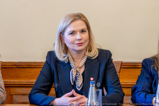 Miszalski, sejmowa Komisja Infrastruktury, posiedzenie, zdjęcia