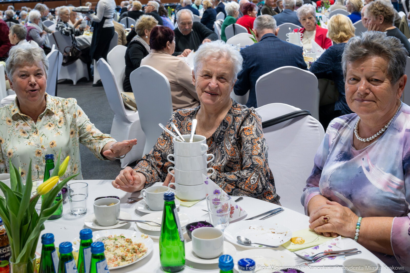 Miszalski, Klaman, seniorzy, Cracovia, Focha, wielkanocne, zdjęcia  Autor: Piotr Wojnarowski