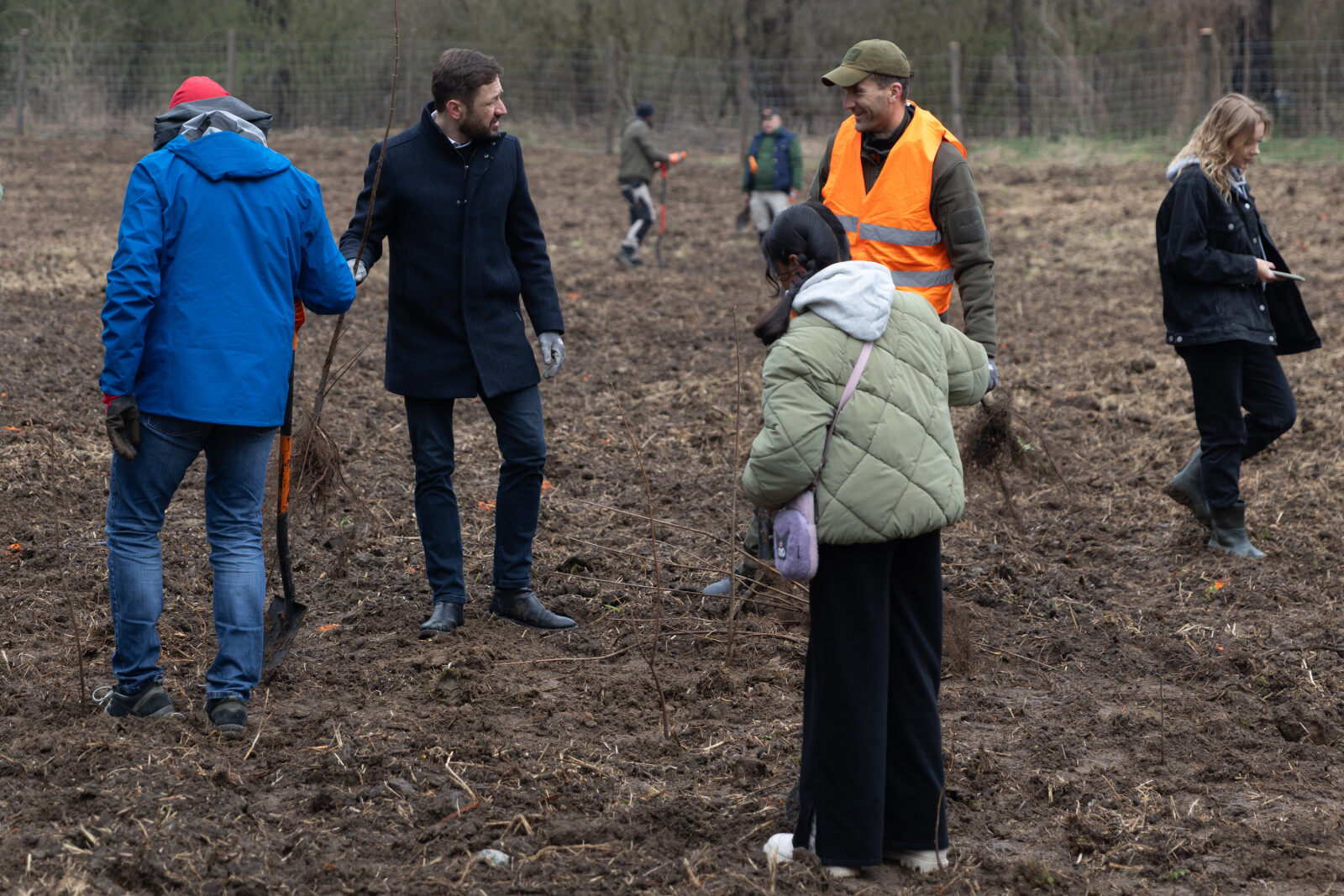 0S4A0022.jpg-Sadzenie Lasu, PMK, Miszalski, Zygmunta Starego  Autor: B. Świerzowski