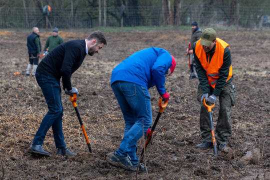 0S4A0036.jpg-Sadzenie Lasu, PMK, Miszalski, Zygmunta Starego