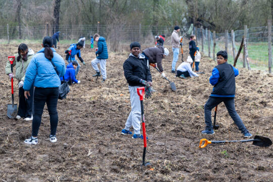0S4A0039.jpg-Sadzenie Lasu, PMK, Miszalski, Zygmunta Starego