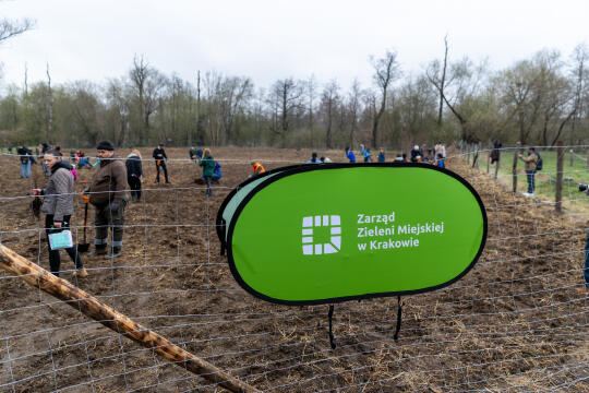 0S4A0042.jpg-Sadzenie Lasu, PMK, Miszalski, Zygmunta Starego