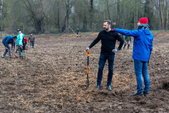 0S4A0049.jpg-Sadzenie Lasu, PMK, Miszalski, Zygmunta Starego