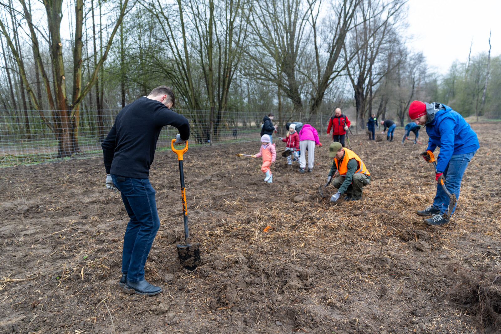 0S4A0062.jpg-Sadzenie Lasu, PMK, Miszalski, Zygmunta Starego  Autor: B. Świerzowski
