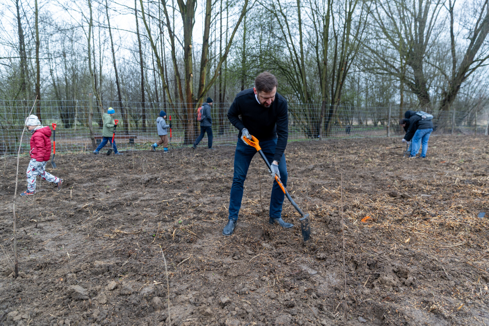0S4A0073.jpg-Sadzenie Lasu, PMK, Miszalski, Zygmunta Starego  Autor: B. Świerzowski