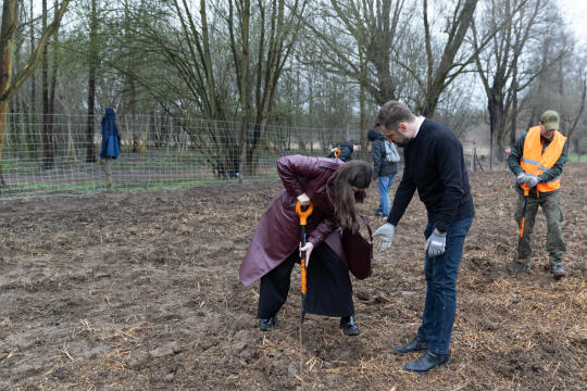 0S4A0092.jpg-Sadzenie Lasu, PMK, Miszalski, Zygmunta Starego