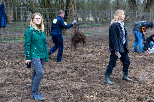 0S4A0113.jpg-Sadzenie Lasu, PMK, Miszalski, Zygmunta Starego