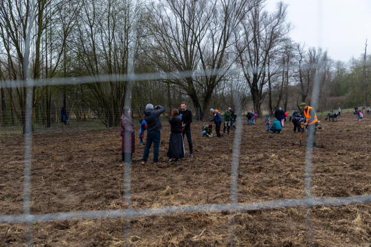 0S4A0124.jpg-Sadzenie Lasu, PMK, Miszalski, Zygmunta Starego