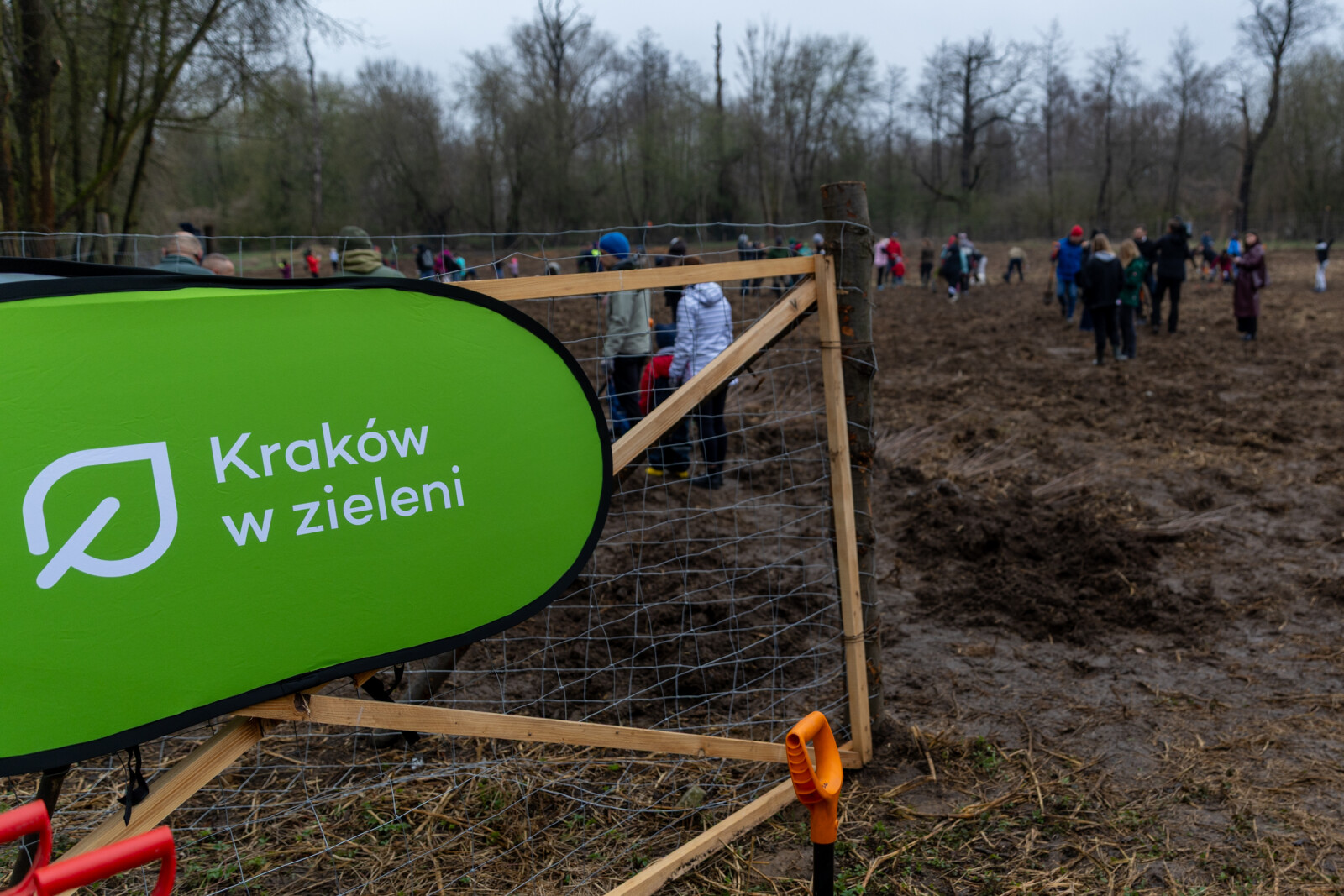 0S4A0135.jpg-Sadzenie Lasu, PMK, Miszalski, Zygmunta Starego  Autor: B. Świerzowski