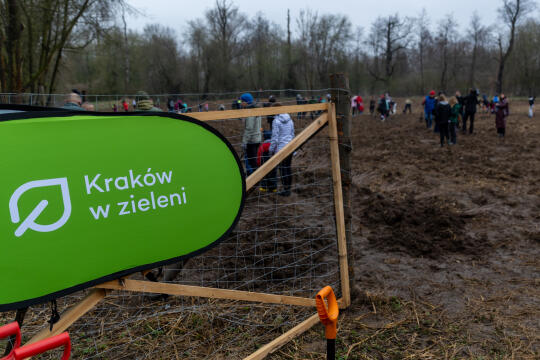 0S4A0135.jpg-Sadzenie Lasu, PMK, Miszalski, Zygmunta Starego