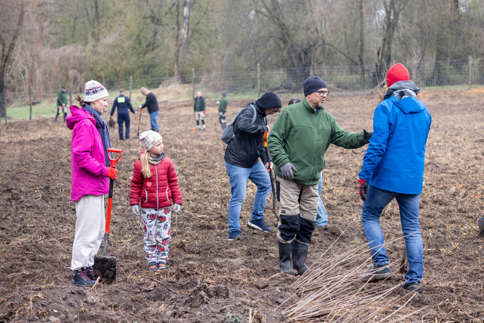 BSK_1169.jpg-Sadzenie Lasu, PMK, Miszalski, Zygmunta Starego  Autor: B. Świerzowski