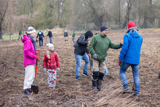 BSK_1169.jpg-Sadzenie Lasu, PMK, Miszalski, Zygmunta Starego