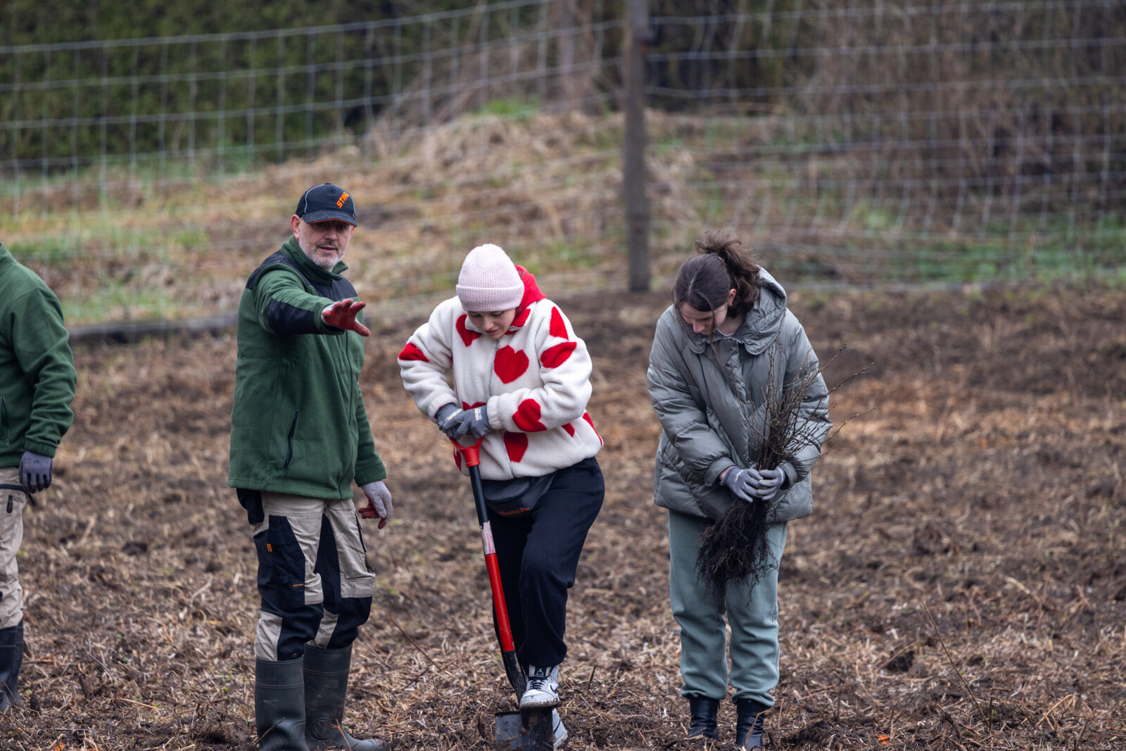 BSK_1239.jpg-Sadzenie Lasu, PMK, Miszalski, Zygmunta Starego  Autor: B. Świerzowski