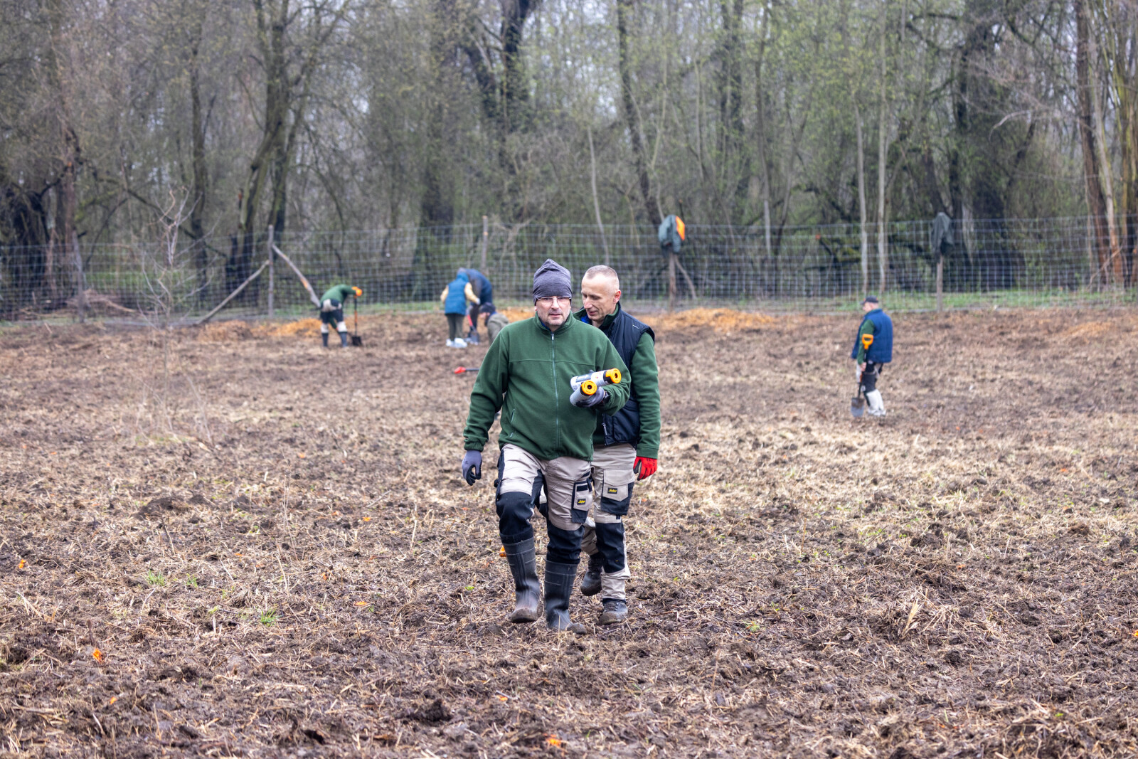 BSK_1246.jpg-Sadzenie Lasu, PMK, Miszalski, Zygmunta Starego  Autor: B. Świerzowski