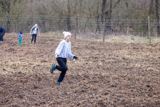 BSK_1266.jpg-Sadzenie Lasu, PMK, Miszalski, Zygmunta Starego