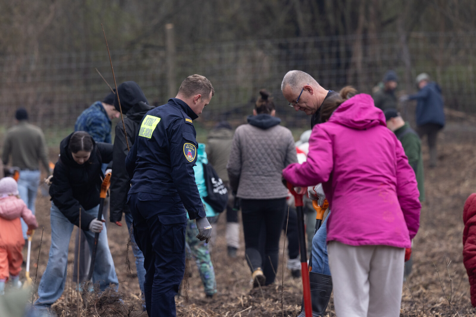 BSK_1298.jpg-Sadzenie Lasu, PMK, Miszalski, Zygmunta Starego  Autor: B. Świerzowski