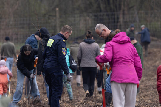BSK_1298.jpg-Sadzenie Lasu, PMK, Miszalski, Zygmunta Starego