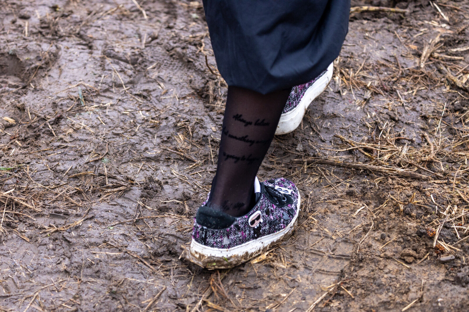 BSK_1308.jpg-Sadzenie Lasu, PMK, Miszalski, Zygmunta Starego  Autor: B. Świerzowski