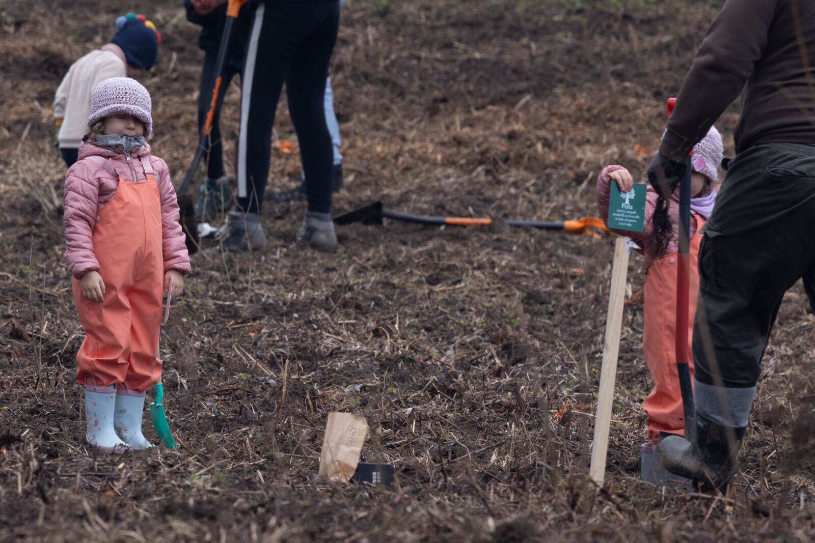 BSK_1322.jpg-Sadzenie Lasu, PMK, Miszalski, Zygmunta Starego  Autor: B. Świerzowski