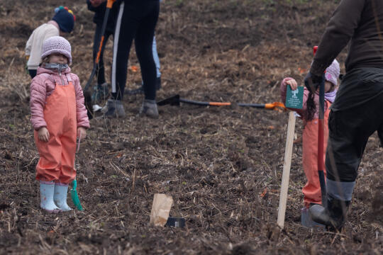 BSK_1322.jpg-Sadzenie Lasu, PMK, Miszalski, Zygmunta Starego