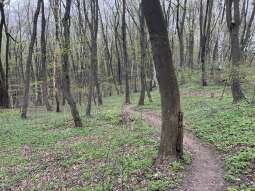 Zdjęcie 14.04.2026, 11 44 47.jpg