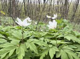 Zdjęcie 14.04.2026, 11 45 03.jpg