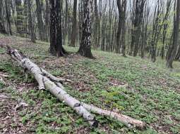 Zdjęcie 14.04.2026, 11 45 55.jpg