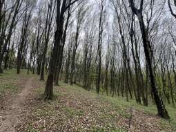 Zdjęcie 14.04.2026, 11 46 38.jpg