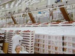 SmVfYIhh.jpg-Słodkie chwile pełne radości.