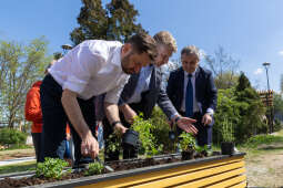 0S4A3472.jpg-Geograficzny Ogrodu Krakowian