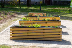 0S4A3549.jpg-Geograficzny Ogrodu Krakowian