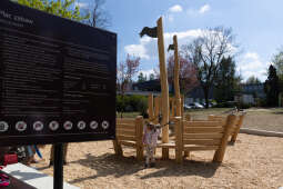 0S4A3599.jpg-Geograficzny Ogrodu Krakowian