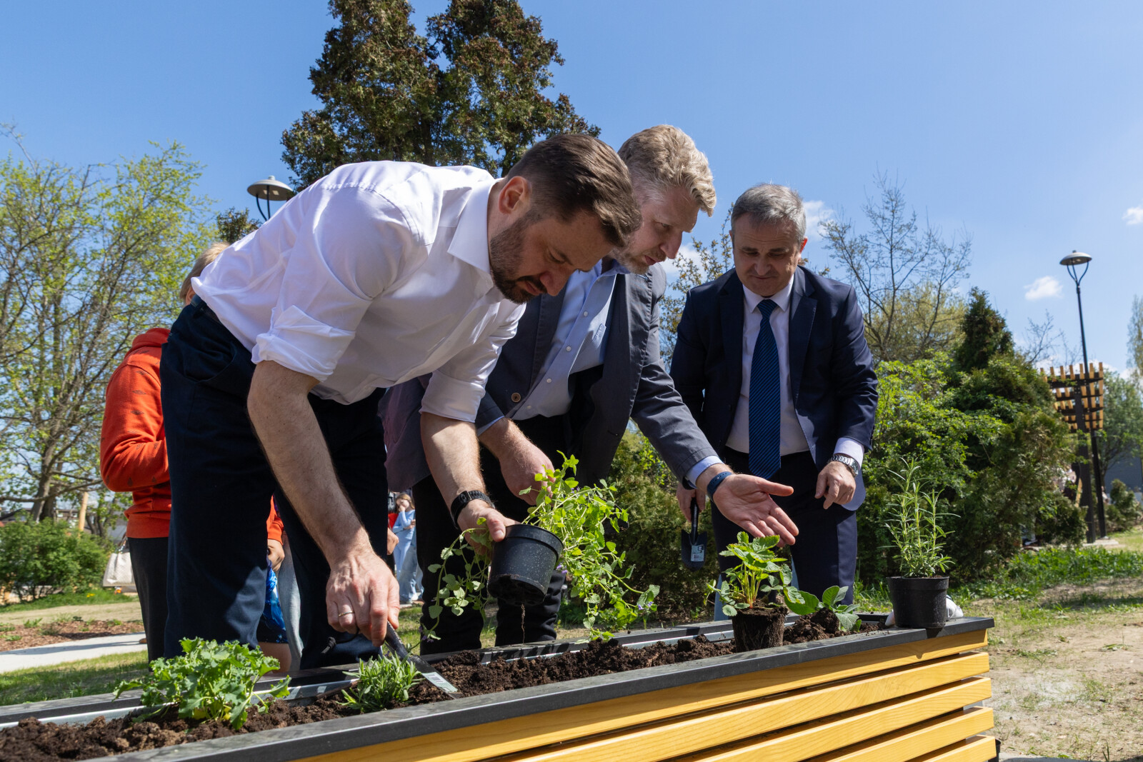 0S4A3472.jpg-Ogród Krakowian, Kozłówek, Miszalski, Zdjęcia 