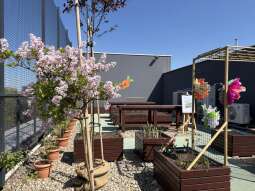 Wiosna na dachu szkoły! Tak Kraków tworzy „Ogrody z klasą”