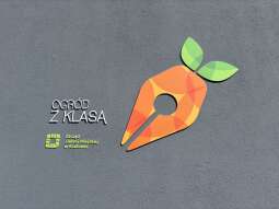 Wiosna na dachu szkoły! Tak Kraków tworzy „Ogrody z klasą”