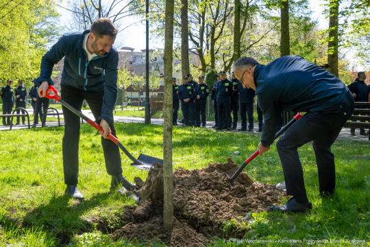Miszalski, Straż Miejska, drzewa, sadzenie, 35 lat, jubileusz, zdjęciA