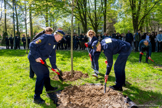 Miszalski, Straż Miejska, drzewa, sadzenie, 35 lat, jubileusz, zdjęciA