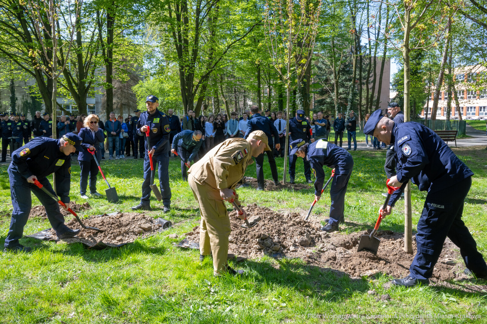 Miszalski, Straż Miejska, drzewa, sadzenie, 35 lat, jubileusz, zdjęciA  Autor: Piotr Wojnarowski