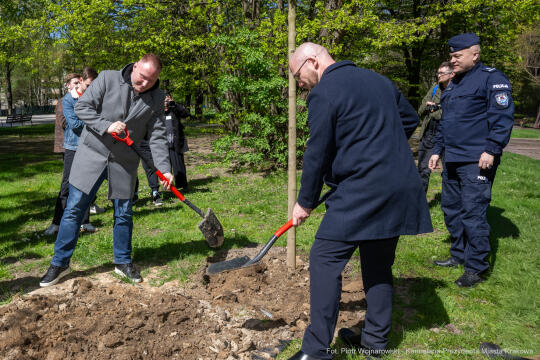 Miszalski, Straż Miejska, drzewa, sadzenie, 35 lat, jubileusz, zdjęciA