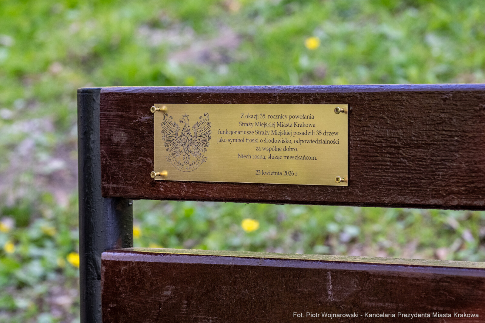 Miszalski, Straż Miejska, drzewa, sadzenie, 35 lat, jubileusz, zdjęciA  Autor: Piotr Wojnarowski