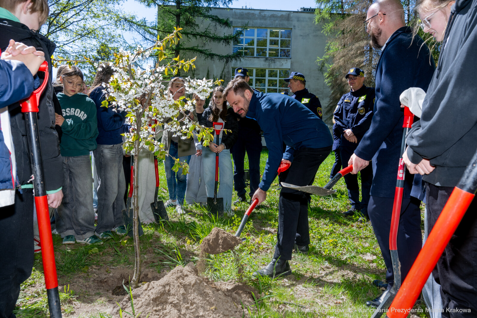 Miszalski, Straż Miejska, drzewa, sadzenie, 35 lat, jubileusz, zdjęciA  Autor: Piotr Wojnarowski